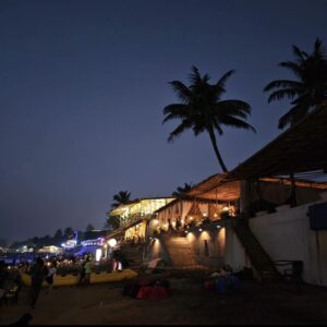 Anjuna beach Goa night life photos